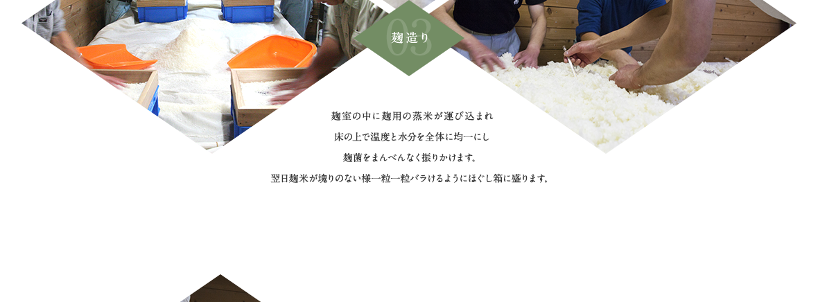 03.麹造り 麹室の中に麹用の蒸米が運び込まれ床の上で温度と水分を全体に均一にし麹菌をまんべんなく振りかけます。翌日麹米が塊りのない様一粒一粒バラけるようにほぐし箱に盛ります。