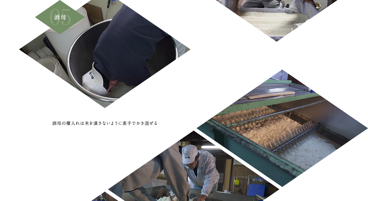 05.酒母 酒母の櫂入れは米を潰さないように素手でかき混ぜる