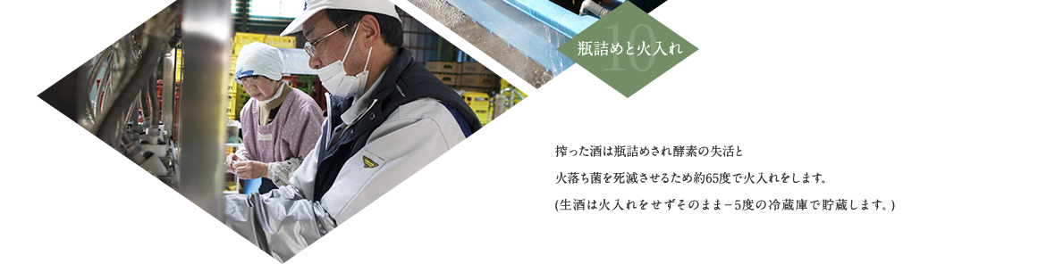 10.瓶詰めと火入れ 搾った酒は瓶詰めされ酵素の失活と火落ち菌を死滅させるため約65度で火入れをします。(生酒は火入れをせずそのまま－5度の冷蔵庫で貯蔵します。)